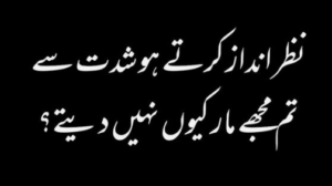 poetry in urdu