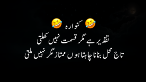 Urdu funny poetry